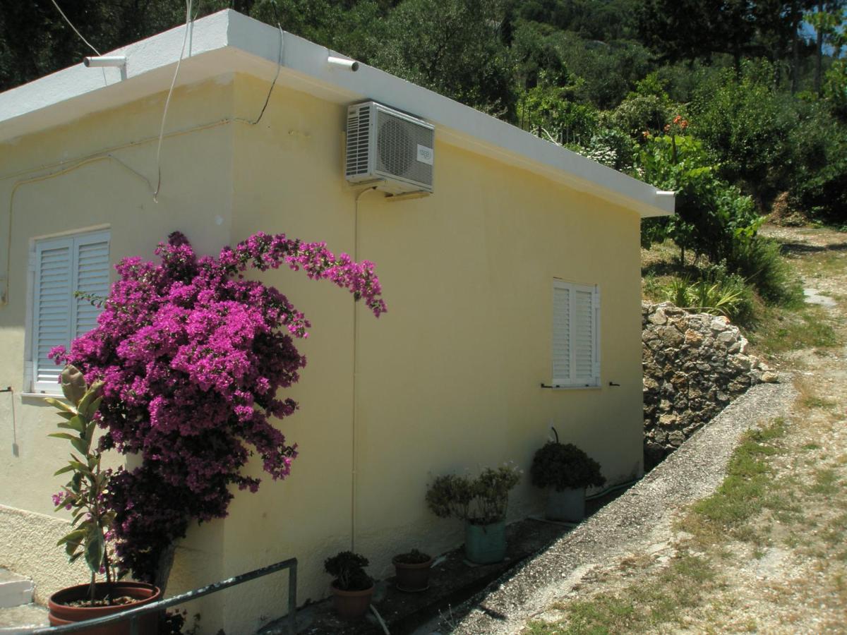 Faliraki Apartments Benitses  Exterior foto